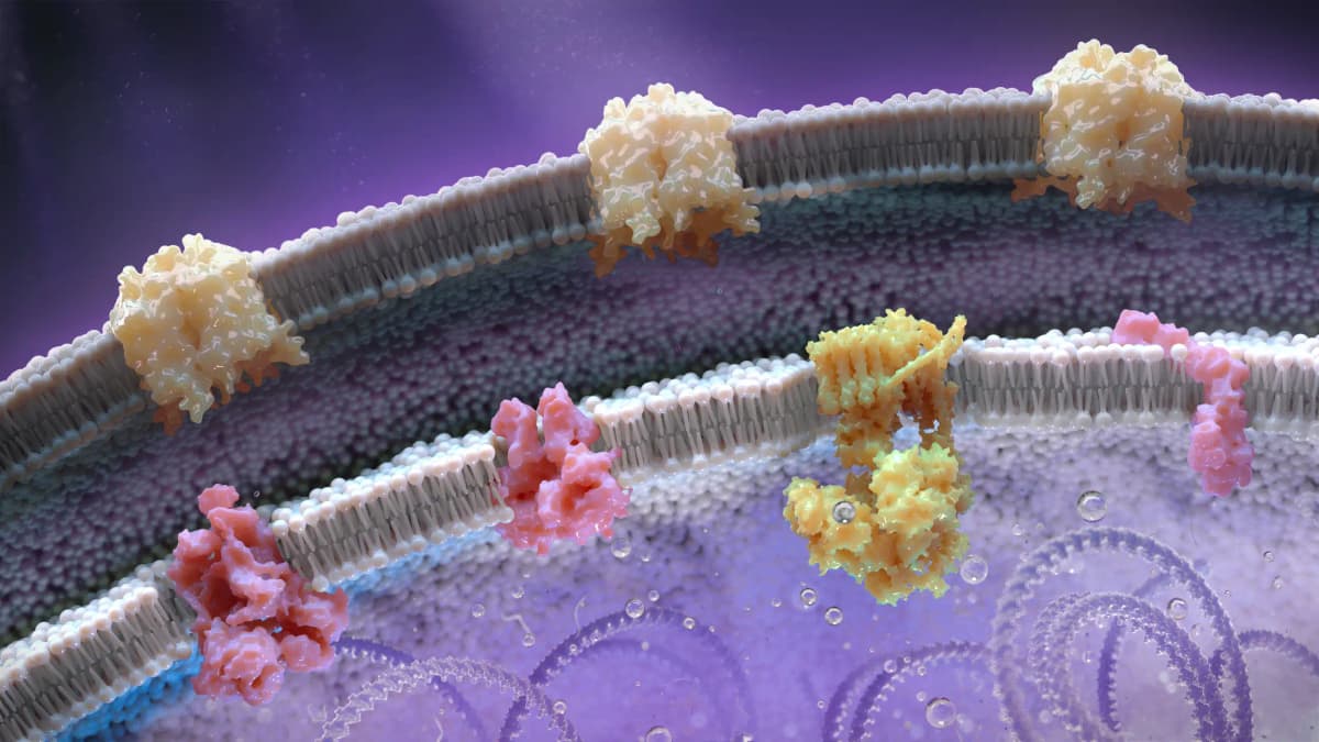 Advanced molecular visualization